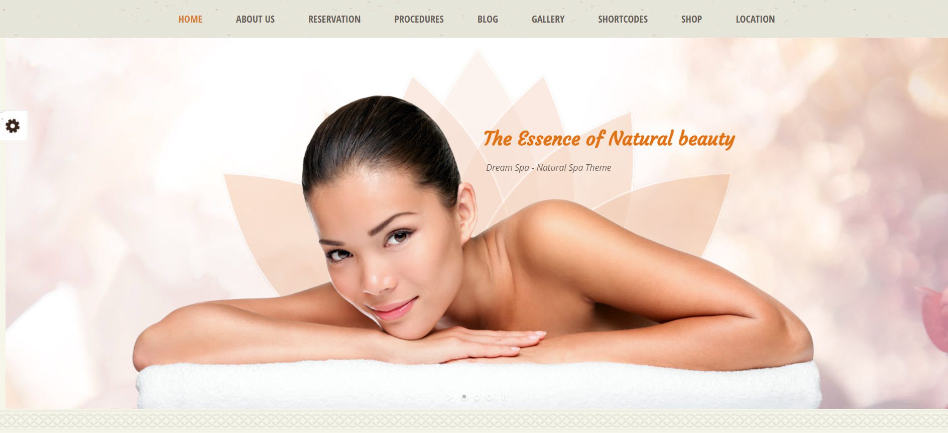 dream spa wordpress theme